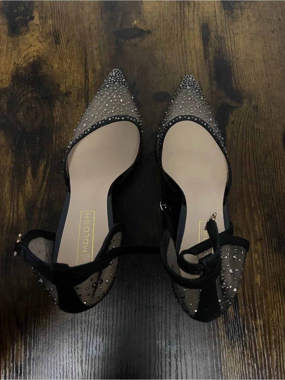 Molosh elegant black